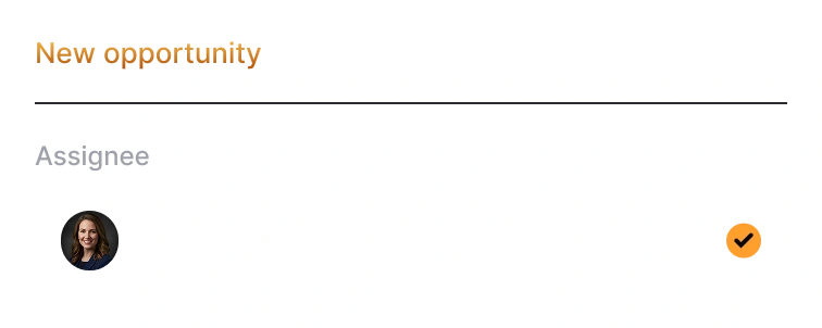 Example new opportunity assigned to a team member